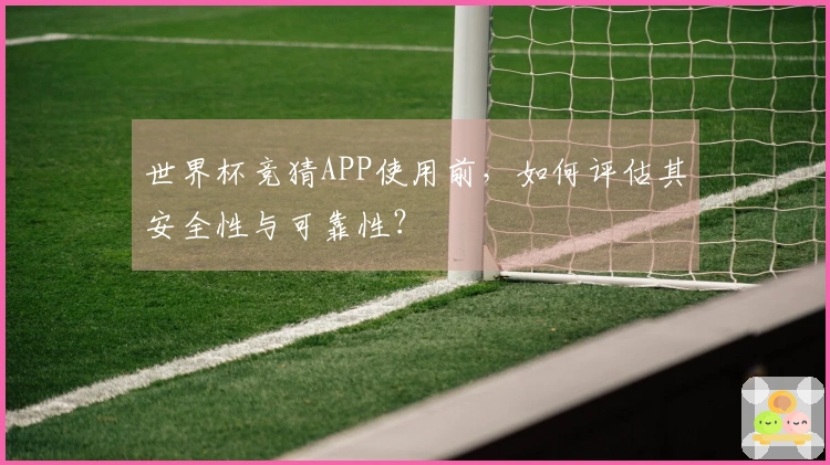世界杯竞猜APP使用前，如何评估其安全性与可靠性？