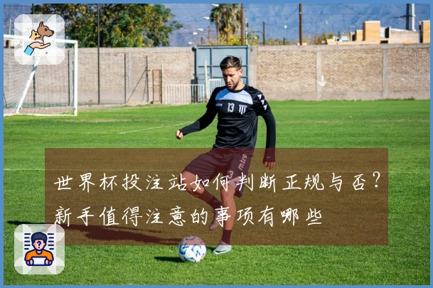 世界杯投注站如何判断正规与否？新手值得注意的事项有哪些
