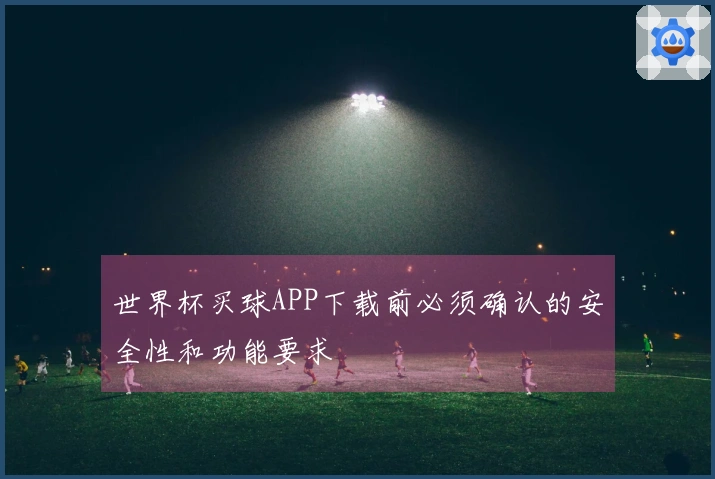 世界杯买球APP下载前必须确认的安全性和功能要求