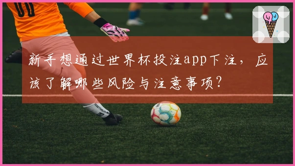 新手想通过世界杯投注app下注，应该了解哪些风险与注意事项？